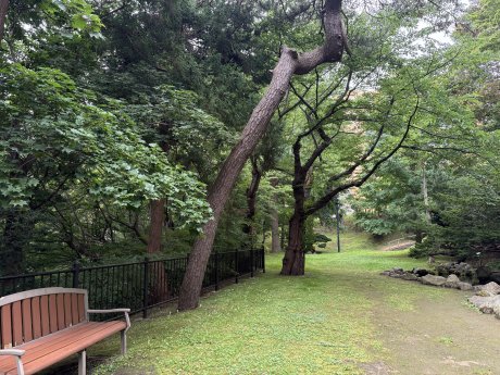 函館公園