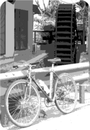 bike20080108.jpg