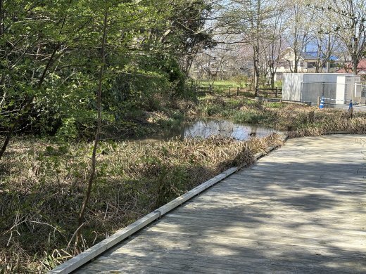 田ノ入谷戸 Img_6610.jpg
